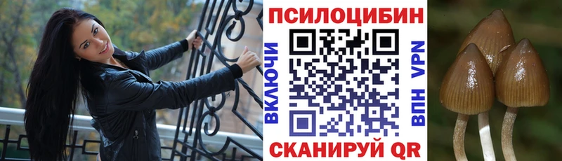 Галлюциногенные грибы Magic Shrooms  Петров Вал 
